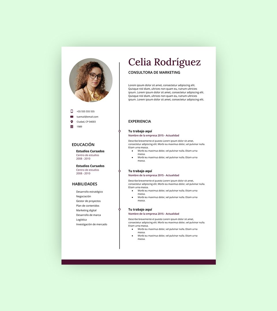 plantilla curriculum básico para España
