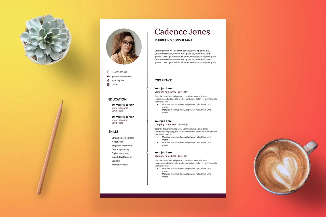 modelos curriculum espana